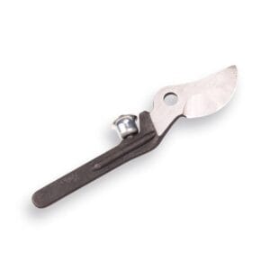 1506207 mesgedeelte takkenschaar Freund