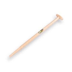 211630 Spearwel 80 cm. ingefreesd.