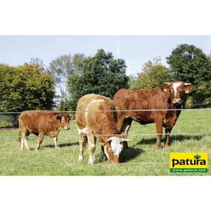 img_Limousin--www_2000 PATURA permanent raster 0,90 m hoog 2 draden, PolyPaal