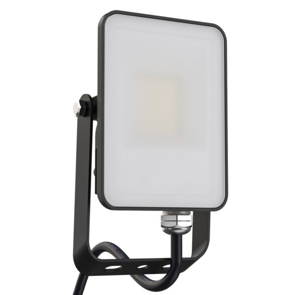 image_1024 LED Schijnwerper 10W 230V
